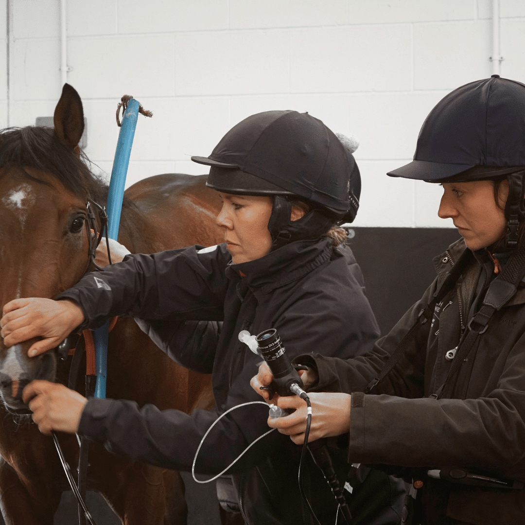 MEDView DV3 veterinary airway scope