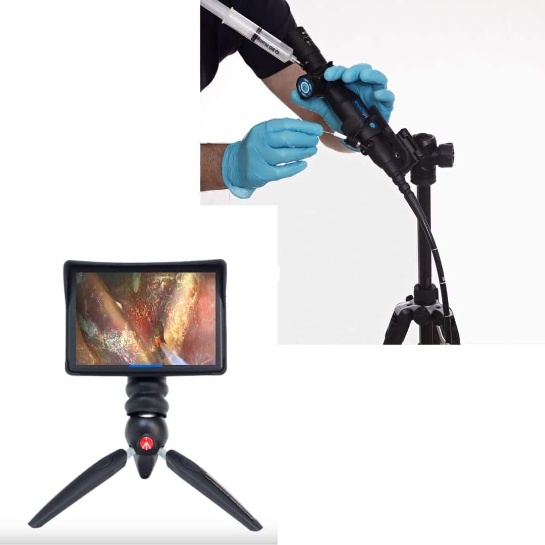 Advanced equine laser surgery technology