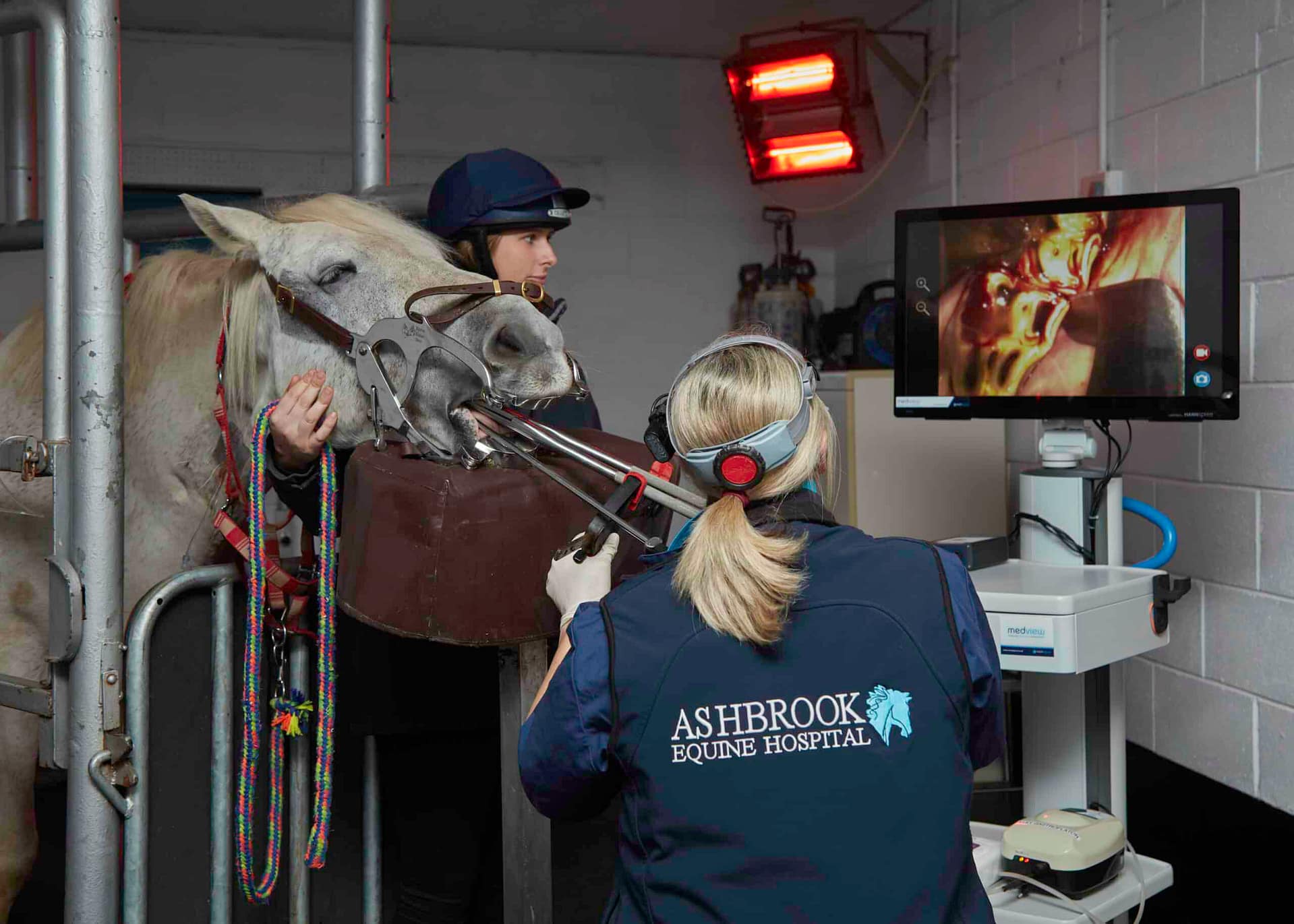 Tooth extraction with the Medview DV Equine Dental Endoscope with Ashbrook Equine Hospital