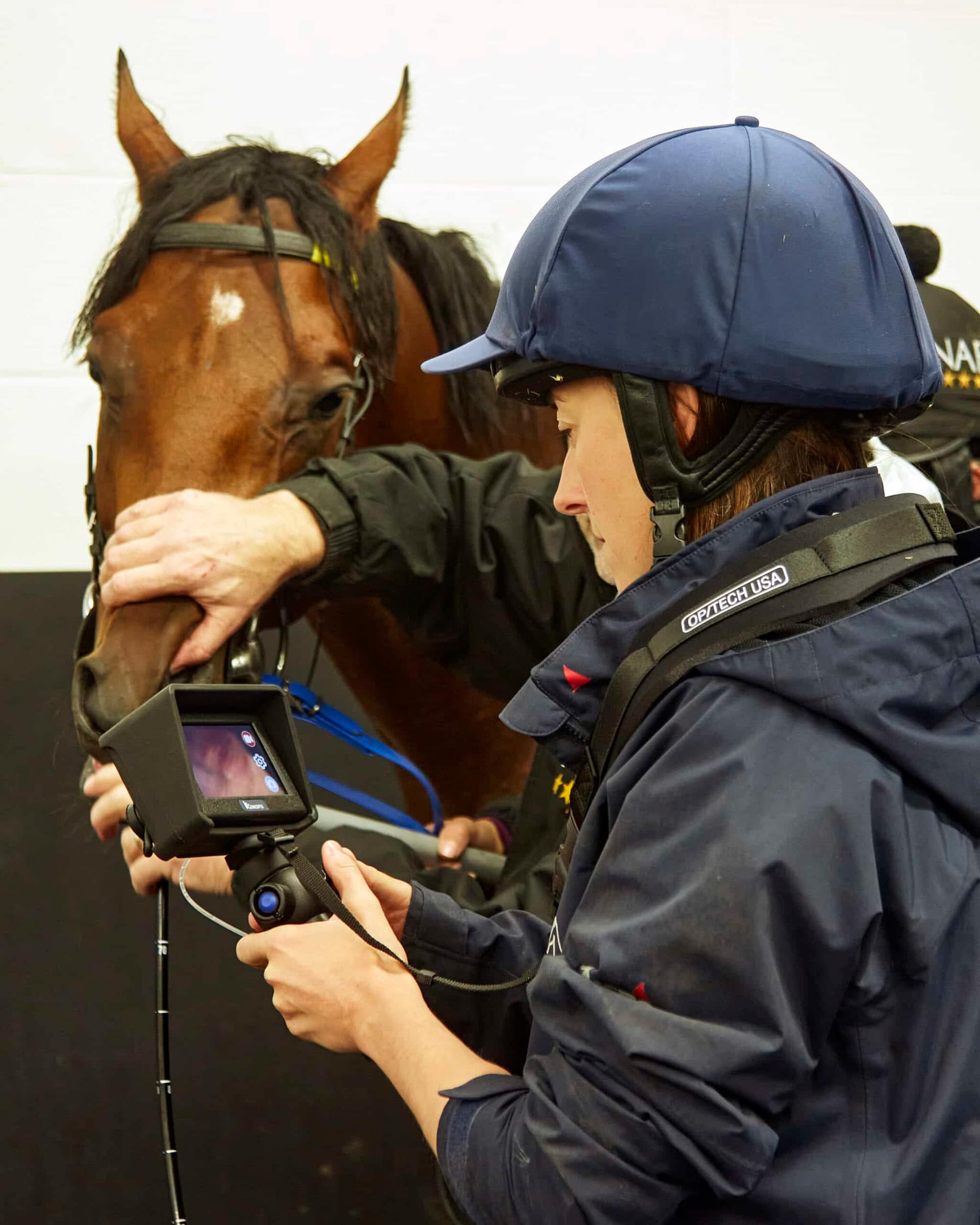 MEDView DV2-X Equine Airway scope, advanced veterinary endoscope for sale