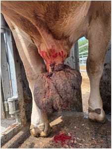 Life of an industry vet Picture6