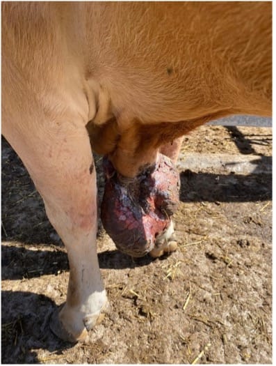 Life of an industry vet Picture5