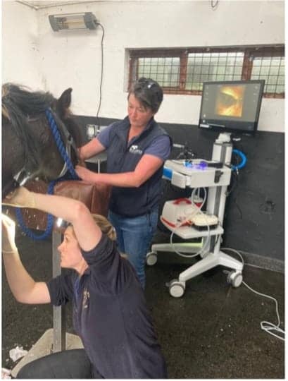 Life of an industry vet Picture3