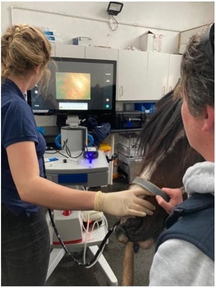 Life of an industry vet Picture2