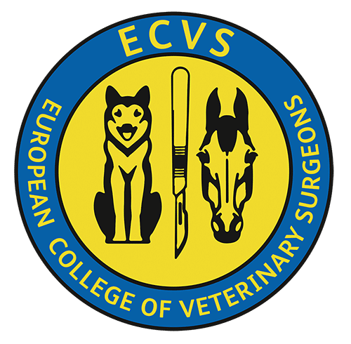 ECVS 2026 ECVS Logo