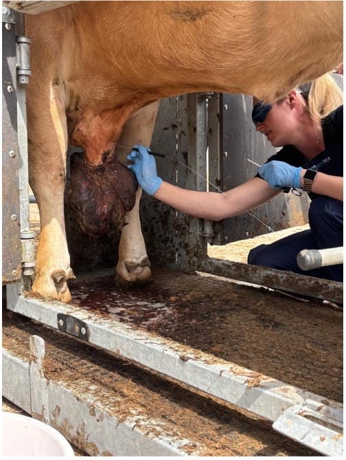 Life of an industry vet Picture7