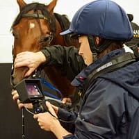 MEDView DV2-X Equine Airway scope, advanced veterinary endoscope for sale