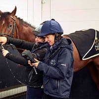 Med Equus DV2 equine dynamic airway scope