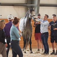 MEDView DV1/2 PRO video endoscope for equine airway examination