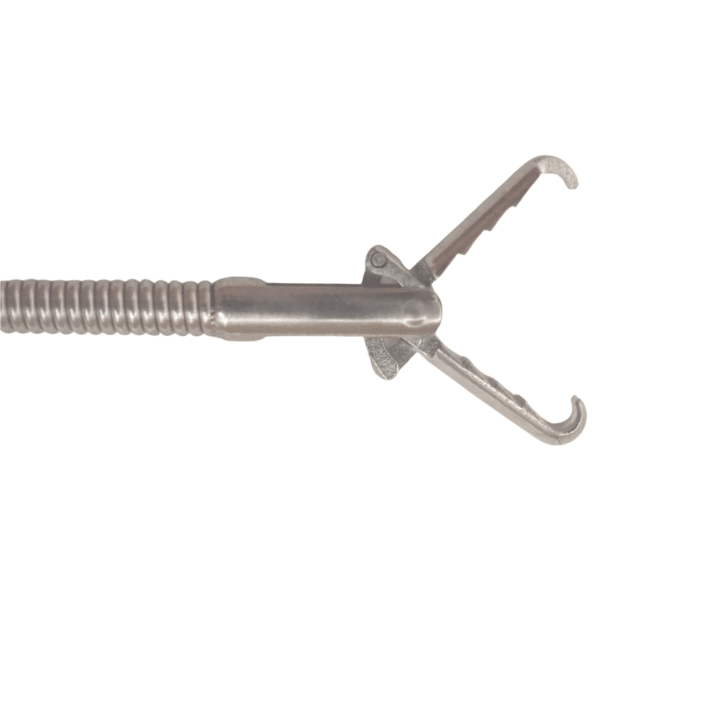 Grasping forceps rat tooth with alligator jaw