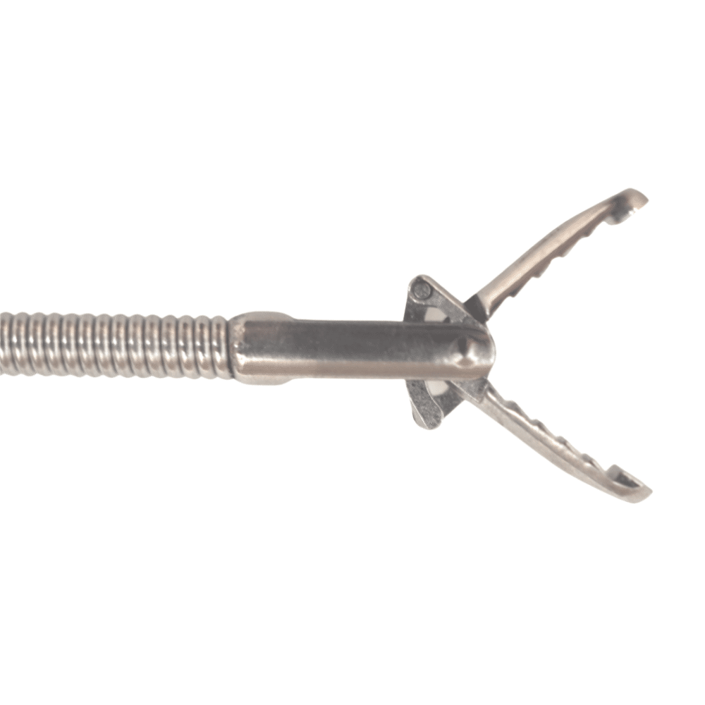 Grasping forceps alligator jaw