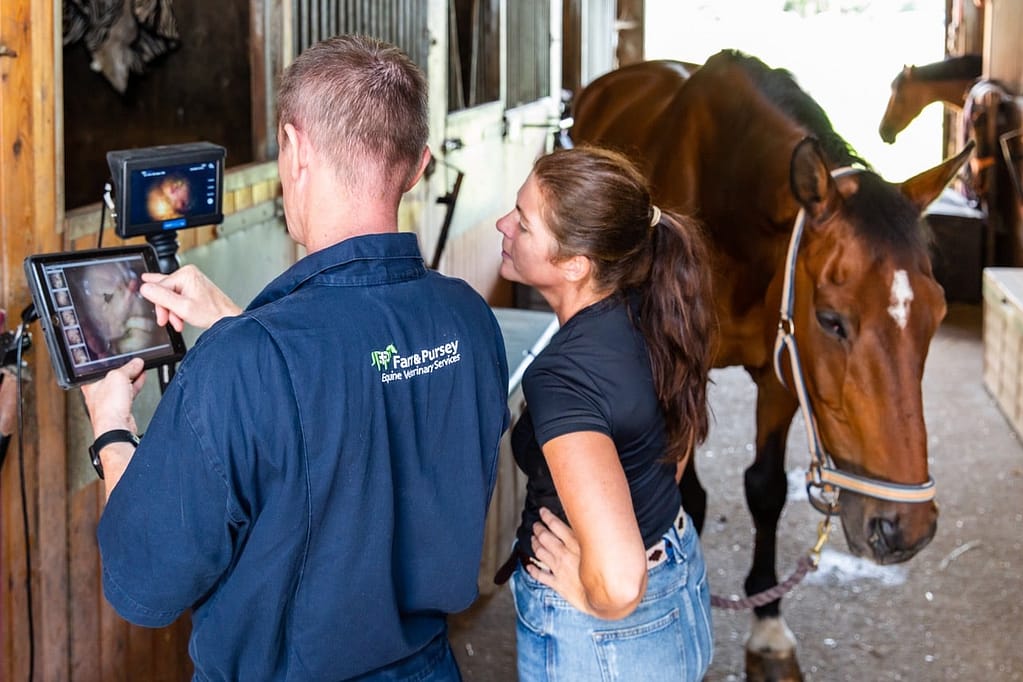 Medview technology Gastroscope