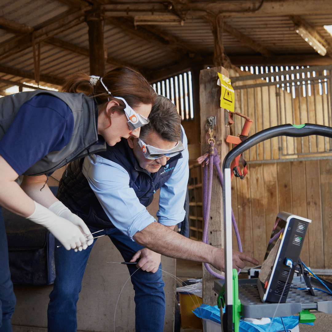Equine surgical laser with adjustable dual wavelength settings