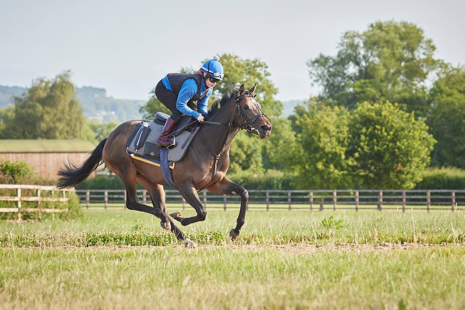 Veterinary equipment, the Med Equus overground equine scope in action