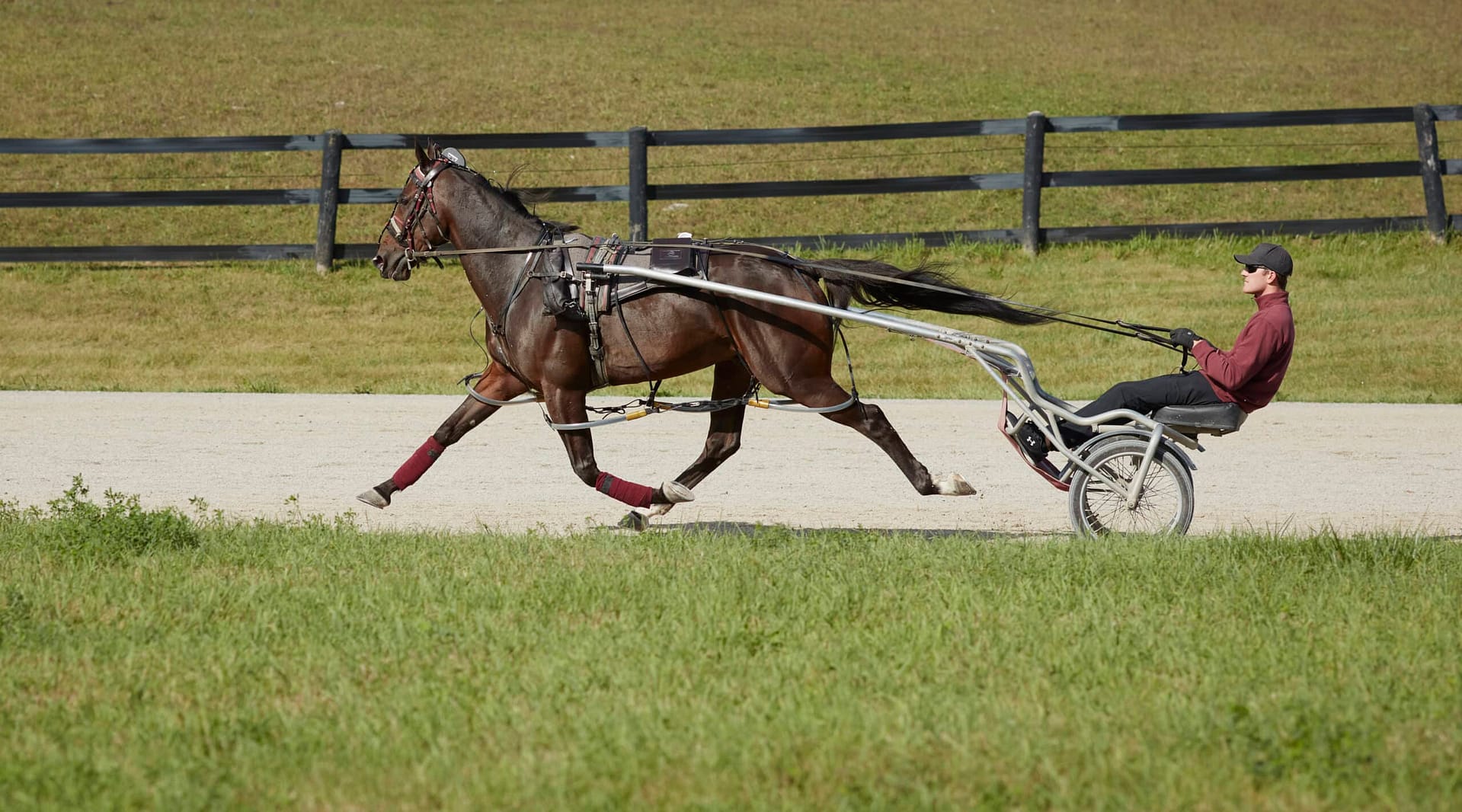 Woodbine-Pacer-Trotter 34