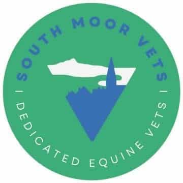 South Moor Equine Vets