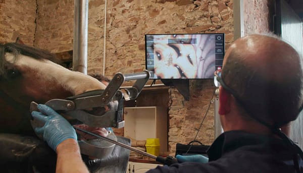 Med Equus DV equine dental endscope with Pete Ravenhill