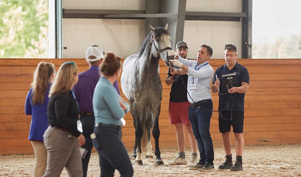 MEDView DV1/2 PRO video endoscope for equine airway examination