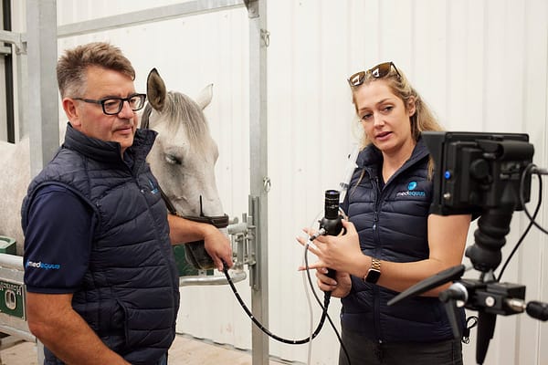 Med Equus Veterinary Gastroscope. Equine gastroscope for horse gastric examinations