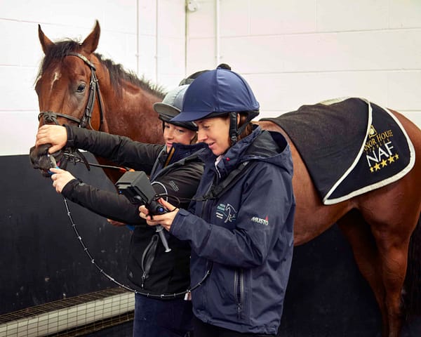 Med Equus DV2 equine dynamic airway scope