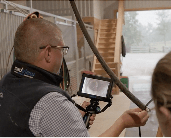 Portable equine endoscope used for veterinary diagnostics
